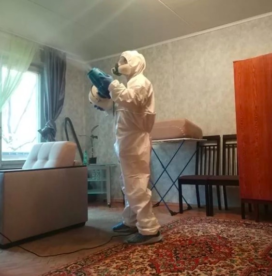 дезинсекция квартиры в Усть-Луге